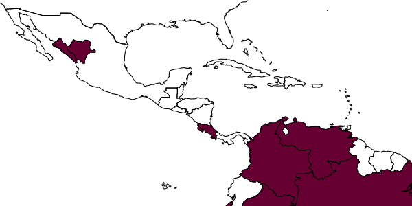 map of Mesochorus angustistigmatus     Dasch, 1974